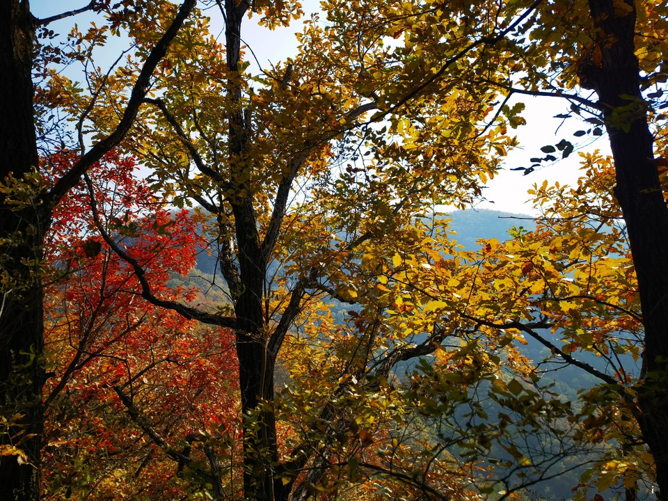 HFf9DcnM8q-D06_8C-WEN3duj6moOYoBm5objLzTBDxGcJEEJurXCoA6rnhUcCpl