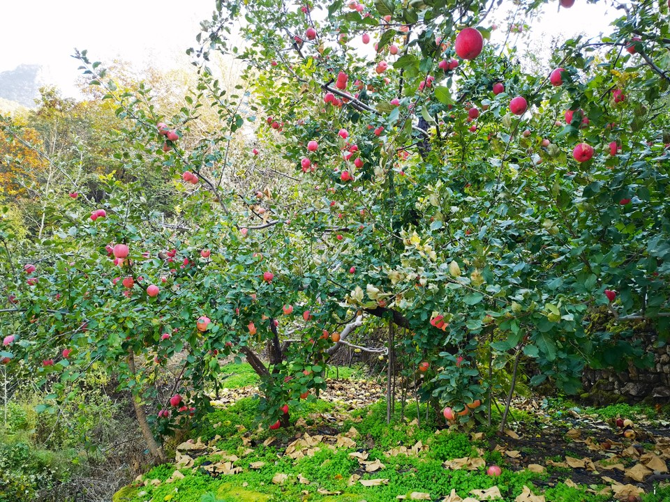 HFf9DcnM8q-D06_8C-WENwKJeOg7R7dA4SdeJu5_glfDffmLTIVxgGf4Xb8aJOq6