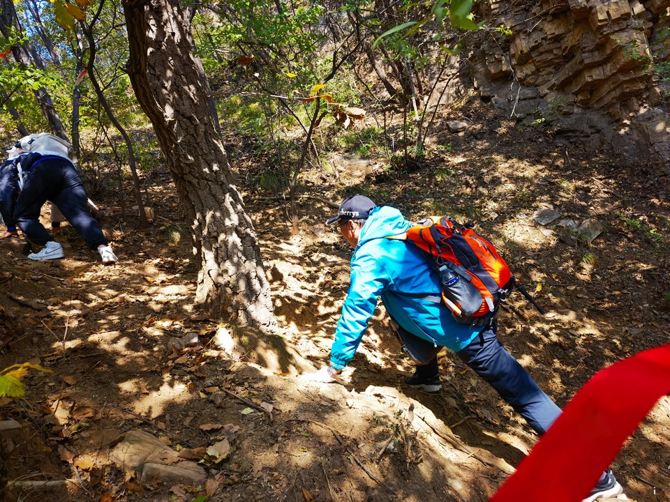 HFf9DcnM8q-D06_8C-WEN4PP-TAs-qX0U37jit8NUsnkfnChCFXmUG2iJbJ_RoDY