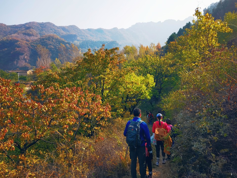 HFf9DcnM8q-D06_8C-WEN7DSSakqOyOI6bkPkkUj-KCa35KD6ga_Jf2HpIH45fon