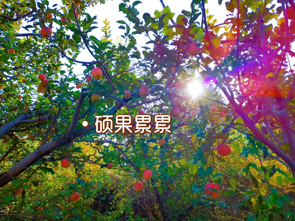 HFf9DcnM8q-D06_8C-WEN6F8Upw93Syd9YPeRFyiqdmiDIMgrFsOemJJtZVT2Ab9