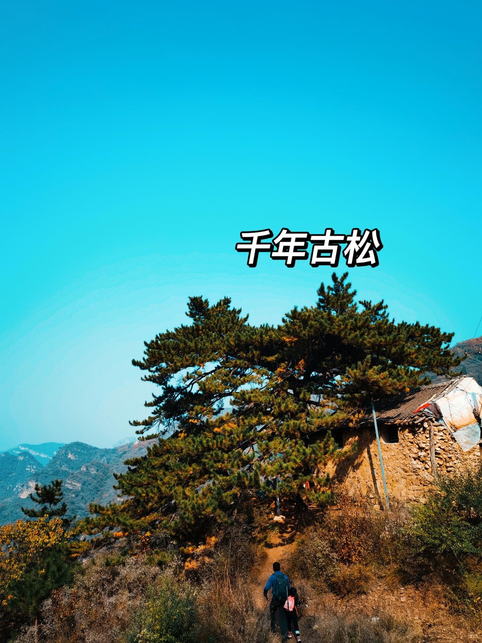 HFf9DcnM8q-D06_8C-WEN2MK0sHNnRKCRPrjLy-pvBSf1IY1sDo4LamPZsAoqYRi