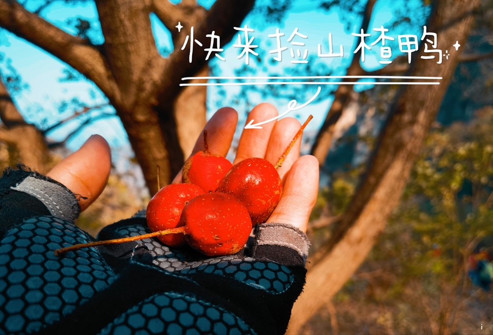 HFf9DcnM8q-D06_8C-WENwF3iyHZJvCIyHerNQW9lhw-4GBU02_1ug3vqzy-THQD