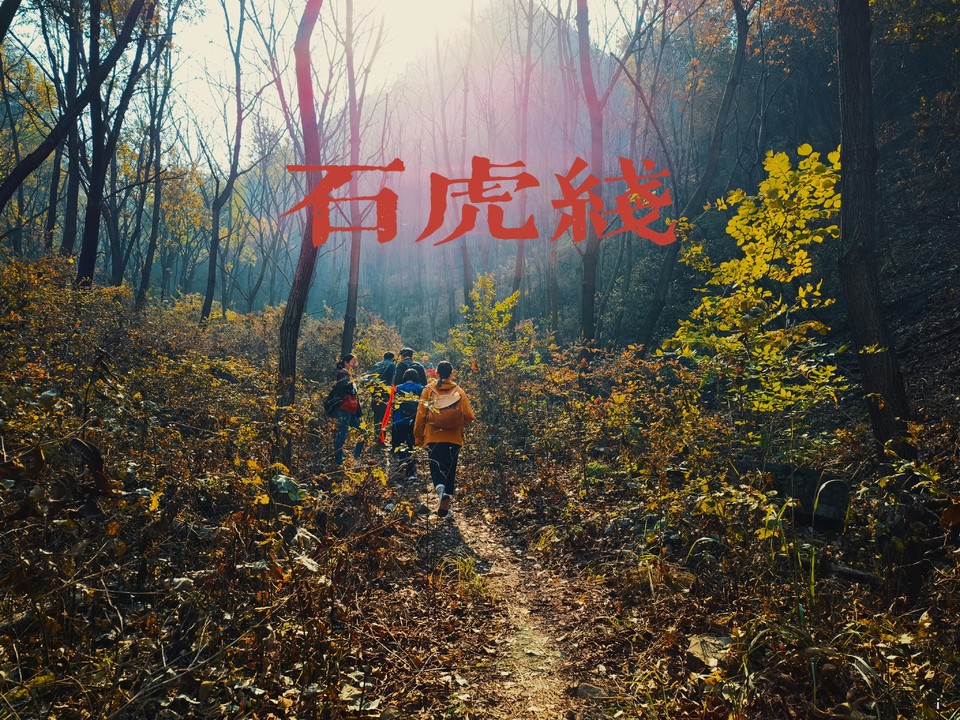 HFf9DcnM8q-D06_8C-WEN7jF6yPdf0gbqmJbLnQgbMT12e-HyWDNPmGStkVgzS9L