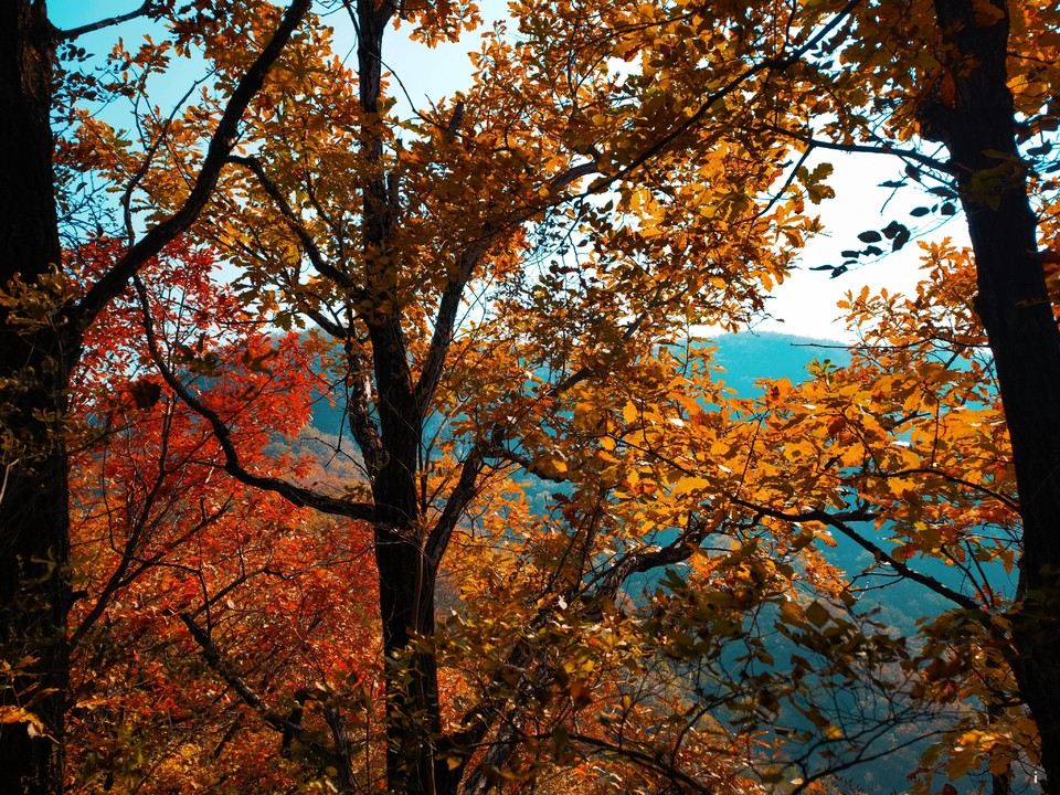 HFf9DcnM8q-D06_8C-WEN2JDPkdQU_Jvpz79RbH5sw2GmRtvURlQE90-1ZNWVTmP