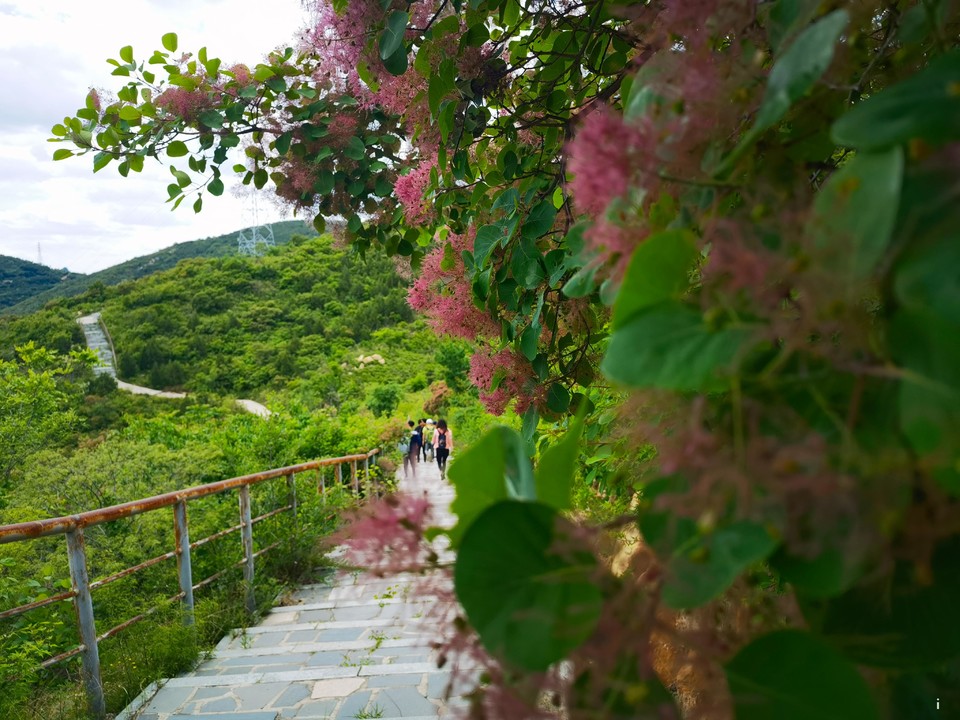 u8A8_p2cOXlT-s-yMeoQBca-6L_RrG0kZ0Us-QFwzGAXJIhp0P2v1fK761AJ4msd