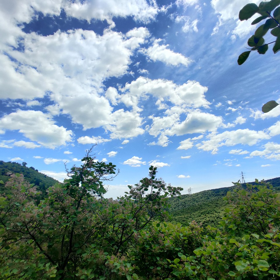 u8A8_p2cOXlT-s-yMeoQBWLd27ZuETyDS7menEaeIM2VoazXvgYLtVY2wYj4HhLI