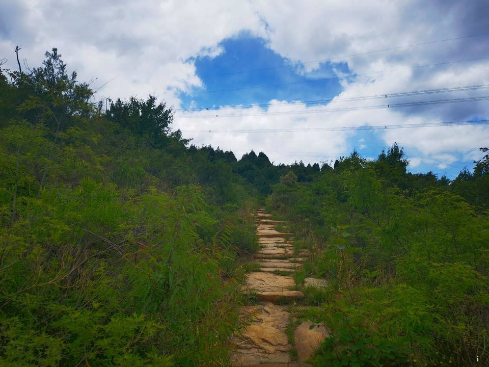 u8A8_p2cOXlT-s-yMeoQBVwrDF0RTaEv3AR3l-WmvUjqdTZ_FO6n501VYnE6itC9