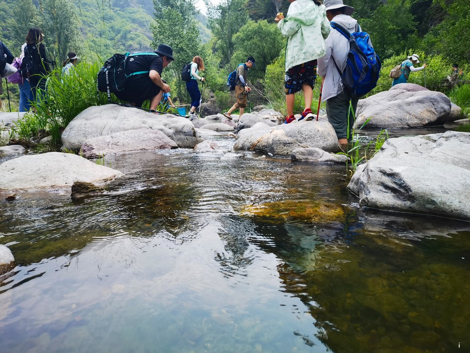 FoefvWG8AcZykyXvllYxyaD9vehk9z2q9h4qJflNVj9mIiQVqoVOjjkNqB2lN5qd