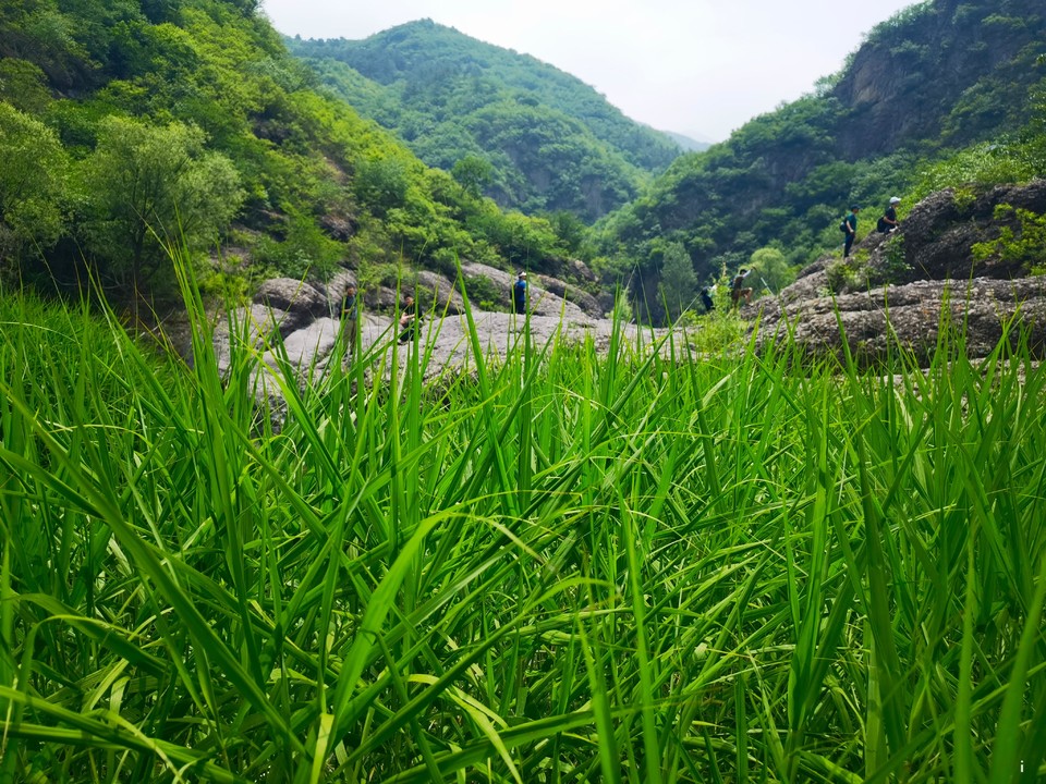 FoefvWG8AcZykyXvllYxyb_LCcjVTkbSAob5GrgUT4bEWmsCbToiXbZQpk2L2jaj