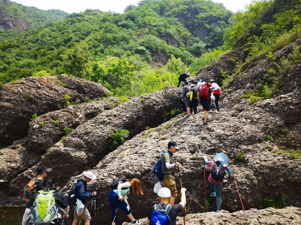 FoefvWG8AcZykyXvllYxyRU4JlJRHmxykr7BEgq-sHfZMmkcTU6cBFNSVTLhH6FZ