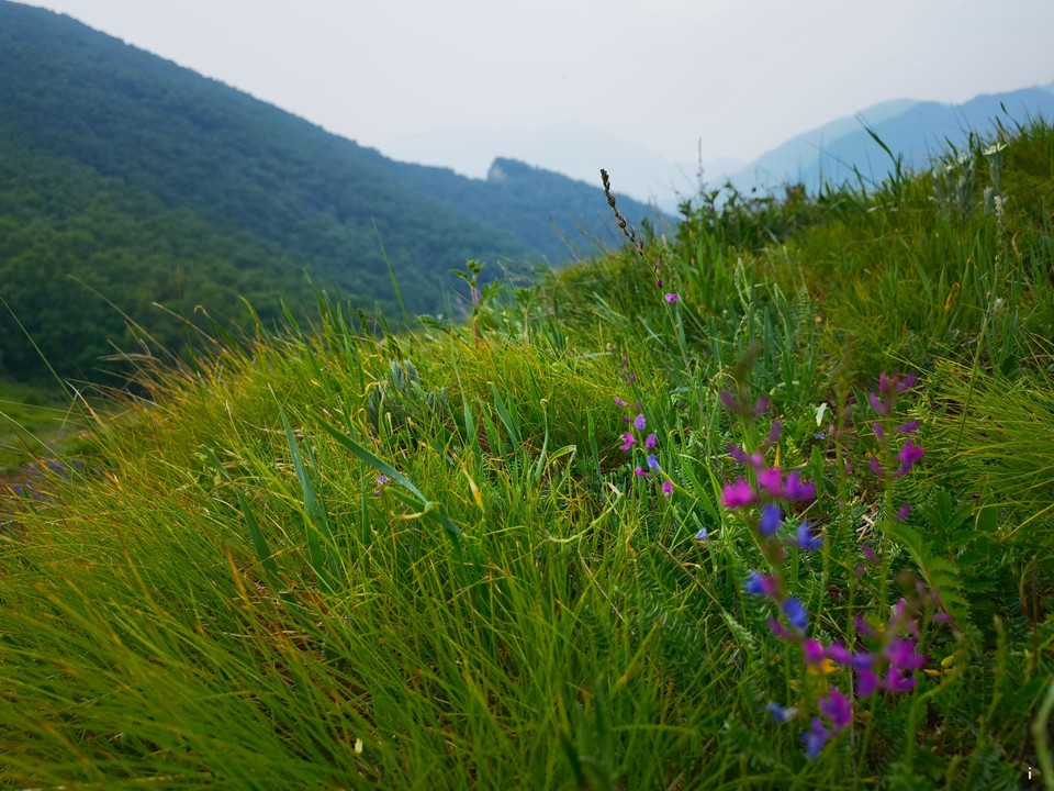 b3tOK_MnzZl5nPdpbacL69L05ycaOKr_FzqN9NutQ_mb1ZNHIpdViL-eyx1tbVA9