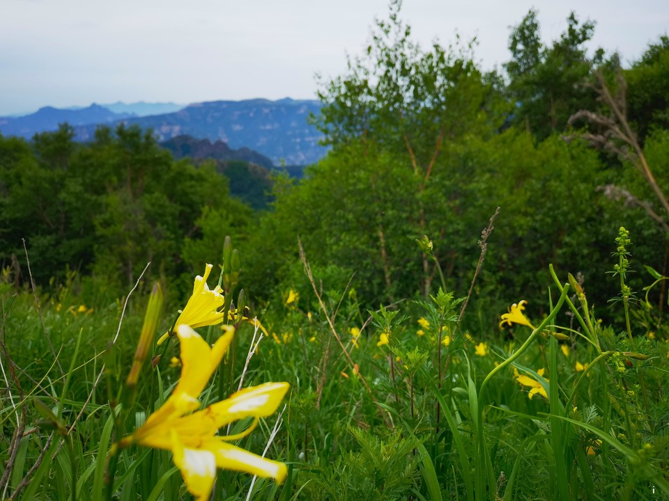 CI7PhfRWMgDsTAl4h-Sq_CMwVblzkINdwp6N5e1PTNStLE3_LF-UHWS6t2opmIiP