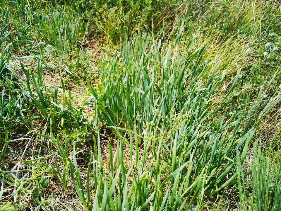 CI7PhfRWMgDsTAl4h-Sq_MbDzABW4MZZ_liOY5M2a0ROURevRA6tLLmZJ1RQSV-_