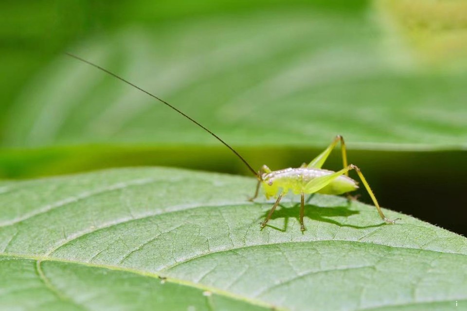 qJmRneHcyrXPIVD8d4zlddEVBEdmmnrKZeUAP9LeRC83WYxSQNiPy6yDmWaGSXLN