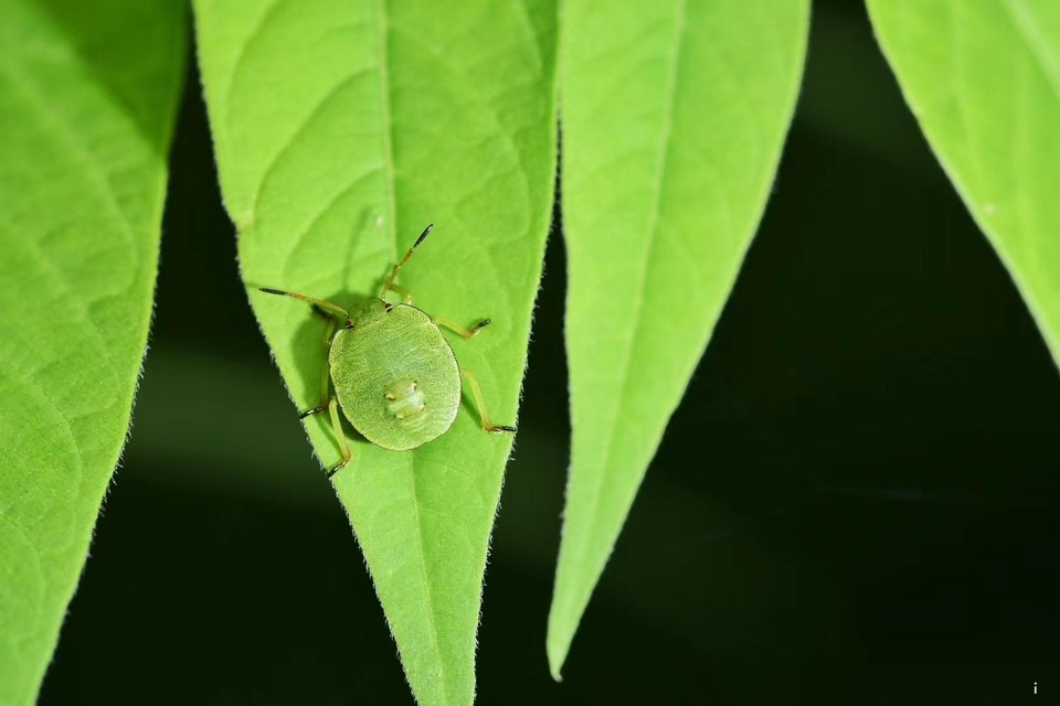 qJmRneHcyrXPIVD8d4zldbIABfpVfK1FUDDySICBnEeJZrgERdZD2hZ7-AEMUfob