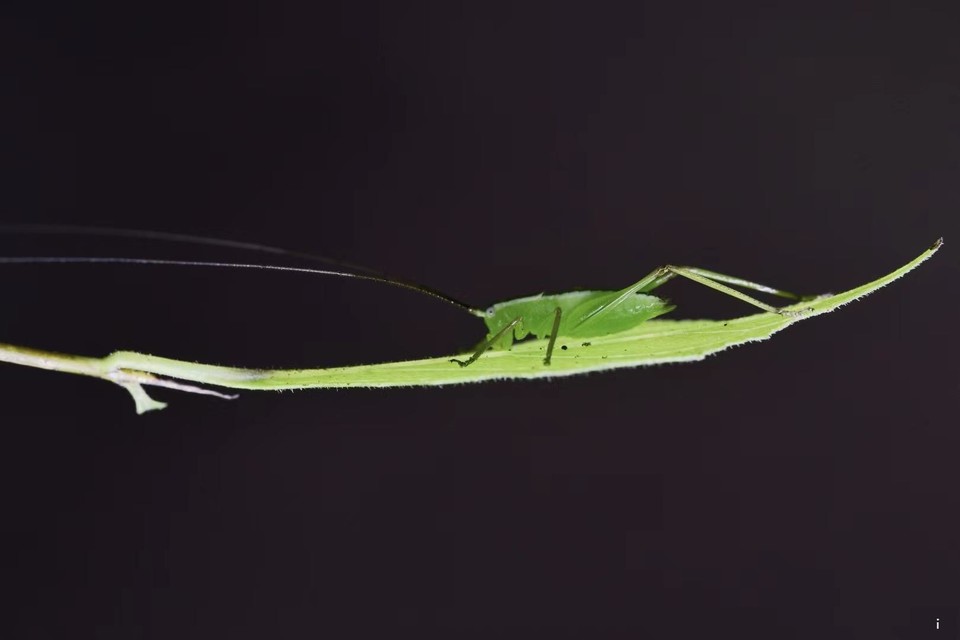 qJmRneHcyrXPIVD8d4zldYnRI-ZJflQH_SPHeaQ9gblYGGxQCDmP4w4eyX8NeqLV