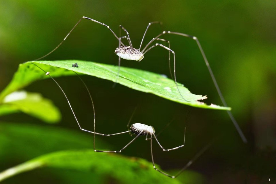 qJmRneHcyrXPIVD8d4zldXK5GXkdfxltoPVGRw7YzI1e7GISDFFHoqBYg_xAlXOP