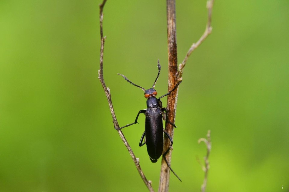 qJmRneHcyrXPIVD8d4zldfCnx2hnLu5okCCOPRBEmyhcz1lMt6m7d2P5W_J8KcR9