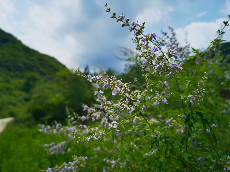 qJmRneHcyrXPIVD8d4zldceGAaUoq045scWegvWMo0nn8MPVSrBAbUhW4Y13LwFC