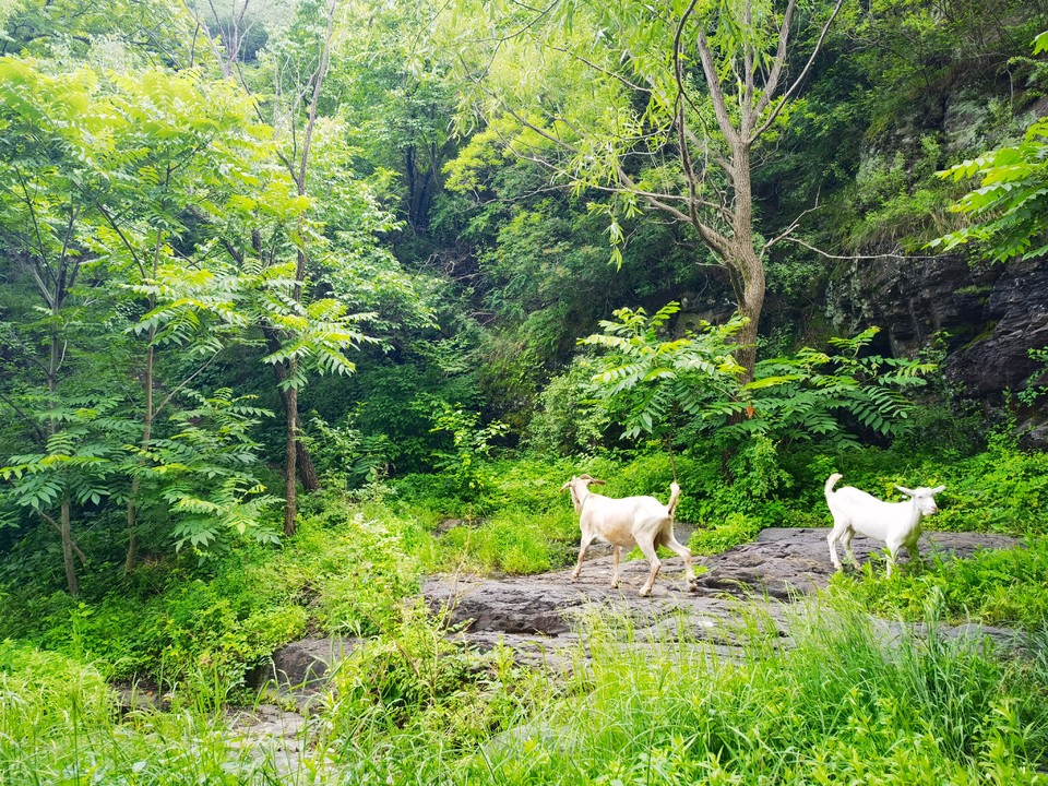 Qj_PaldxT65P5FyVwcjUP6JqCmMyPBT8IbbBqD6HaxnxlxJ3QoxVDOlzh5qM-Hkt