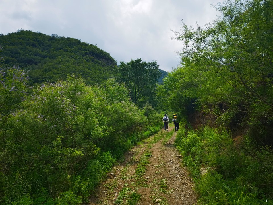 qJmRneHcyrXPIVD8d4zldVAabXSnFVLXwHF0ppBDLwGbCODyiujeP76MZHzLsIqP