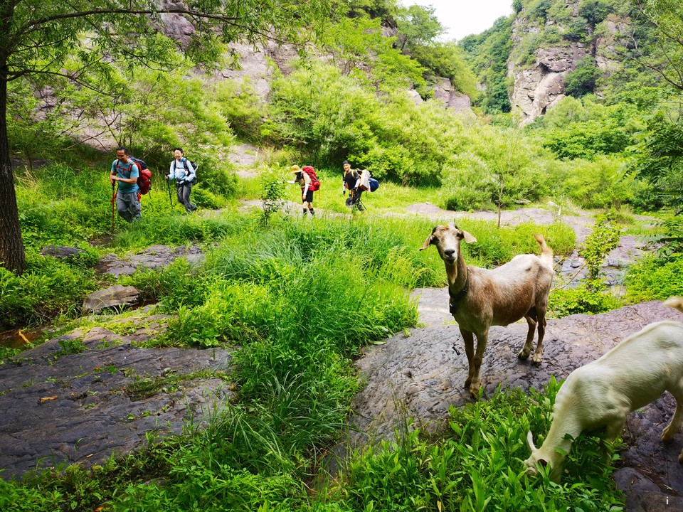 Qj_PaldxT65P5FyVwcjUP1KZ-hu8tYJrUHozX11LCOCq1SghbIJXh4NdDpsCg1xN