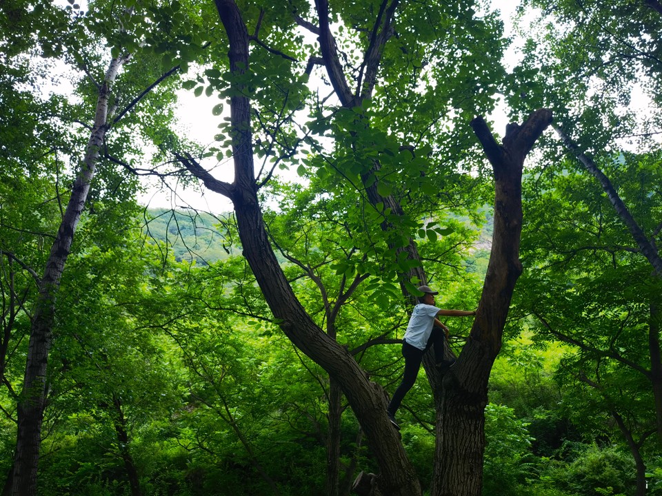 Qj_PaldxT65P5FyVwcjUP4M8g7wwUHVm6oOaQvh7OuOOP2tMA8jt_UDVPtdqCftU