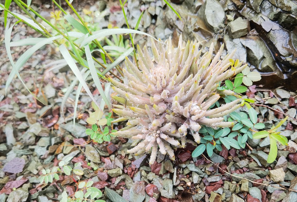 Qj_PaldxT65P5FyVwcjUPwH1QQYxPNbWwcGjPYQESoP2OJ5cYuGWvsK0OGW5QYYa