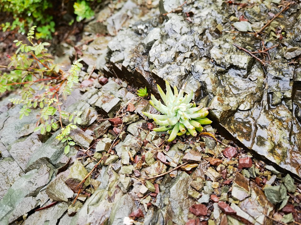 Qj_PaldxT65P5FyVwcjUP6Dwj46GlBy0ipNq6XpBOfa6Fk2jwkIqYEKsBgtfMsXu