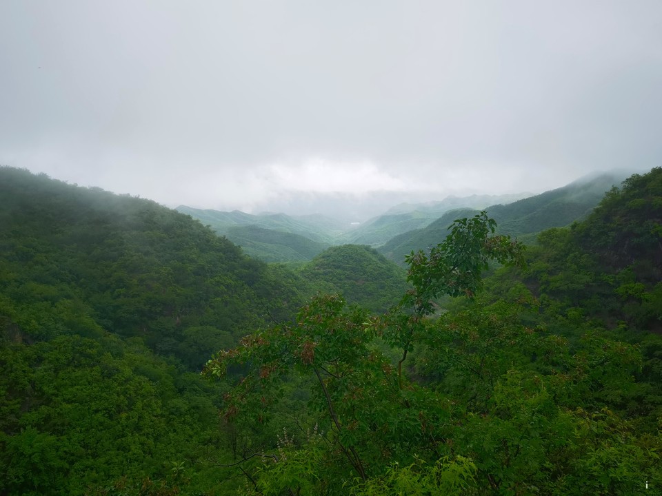 Qj_PaldxT65P5FyVwcjUP0-qZWGH_09buI5lF3WT_IVZWllFb2PHqD8nkbAeXV0k