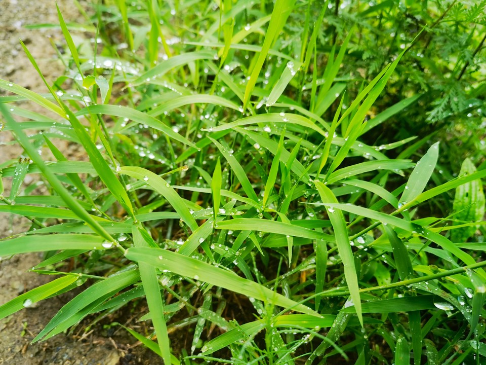 Qj_PaldxT65P5FyVwcjUP90rhMmUfbivPyUZufW_xU2ut1qNQte0JSHNpyNXOu05