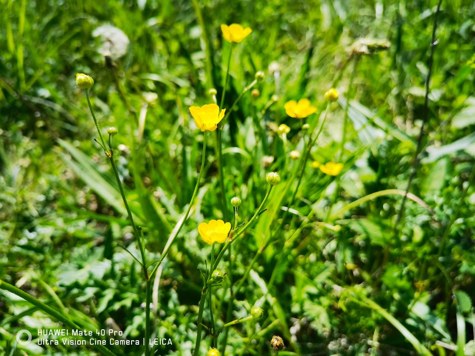 d92l0xUFnASVnXhpUXChFVhgWNZvRpgEr1nGf4NDaYScjWc0I8K23EgvoT8ftxYe