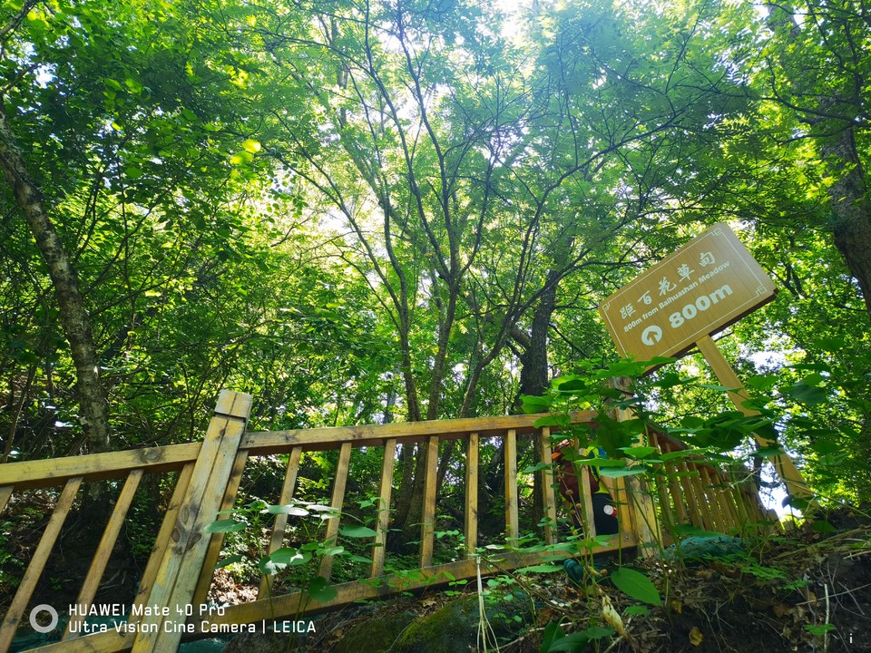 d92l0xUFnASVnXhpUXChFdZOly9KsCS68in59OFfhf1BLb1Us03nDdhXlG9_L9gv