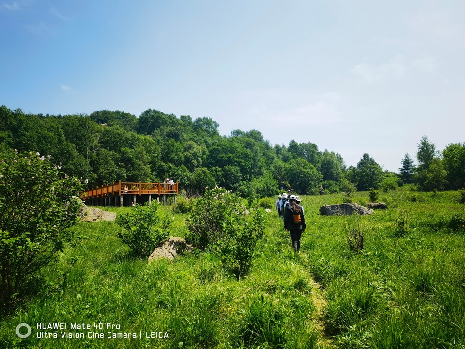 d92l0xUFnASVnXhpUXChFckF58YDQ3s7L1DJeHyvuTqpZ9kxuVYG-9tVgWV3btPX