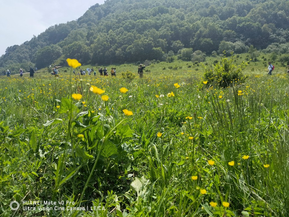 d92l0xUFnASVnXhpUXChFZ4F9cSy9qoAZgg67fhTvfs5j9z37lotTInvQutmDiq2