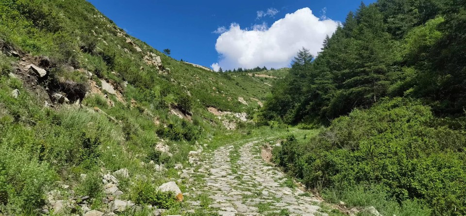 C-RiVVLFfYrHvtv7aiJvFHHDbPkGNBLD5PM3E-F5hfrS9horm_ioxYRm9SB00RHb