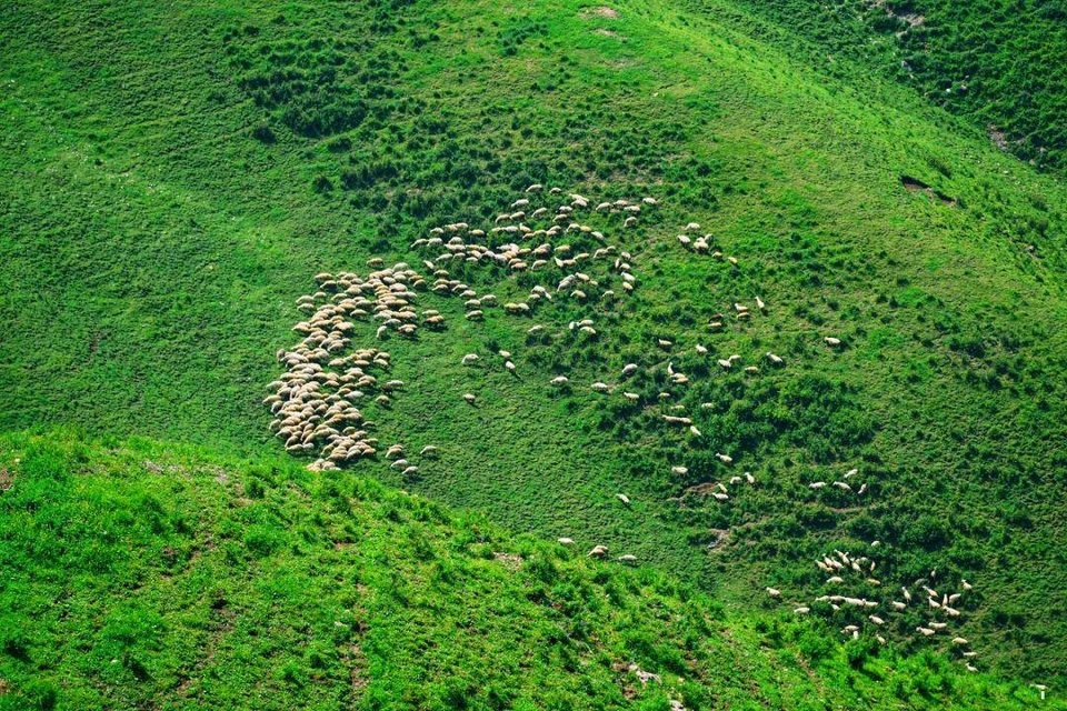 C-RiVVLFfYrHvtv7aiJvFHXZ950CtnIosojKTc4rAbluV1mDz9TjW1Ajxcsru2pi