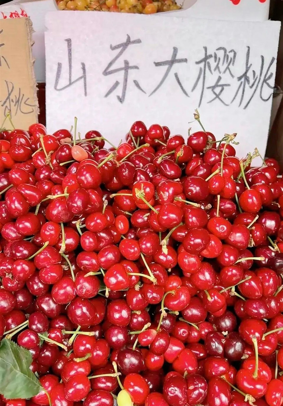 GqBvx8dS4bfondCeJOp3mesSO1NysxLU6zI_dEnqZU017iyYzGR8JJcUuhNXt-8R