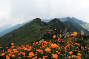 【端午3日】6月18日晚-21日五台山顺穿/逆穿越  徒步华北户外圣地，探寻自然之美，朝台大穿越，领略千年古刹魅力