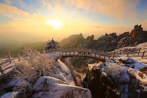 【五一4日•青岛】5A景区崂山-八大关-奥帆 青岛全景4日游