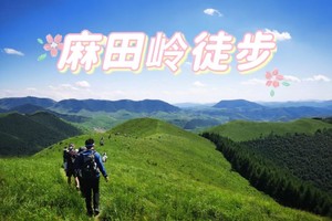 【出京·一日特惠88】蔚县麻田岭避暑圣地一日高山草甸穿越。（初级强度）
