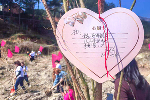 【怀柔植树】亲手种下一棵希望的树苗の怀柔植树-圣泉山-农家餐1日行