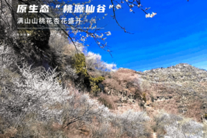 【桃源仙谷】打卡帝都版“冰雪奇缘”の冬天冰雪奇观-桃源湖气泡冰