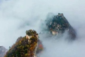 一日•雨后摘蘑菇-穿林海行走高山草甸の采蘑菇季-老龙窝11公里环穿