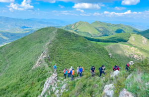 【高山草原•白谷茶山】一日高山草甸环穿， 遥望小五台<中级强度>