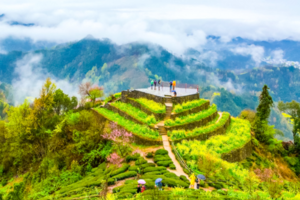 【周末2日•新安江徒步】2026重走唐诗之路の新安江-石潭-下汰-徽州古城-水墨徽州行摄