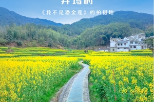 【周末2日•婺源徒步】小众古村徒步线路の井坞-珊厚-庆源-虹关-里言坑-察关-打卡婺女洲