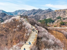 【万顷长城花海】龙泉峪-大云峡谷-香屯误入桃花林一日穿越活动-8公里徒步穿越<初级>