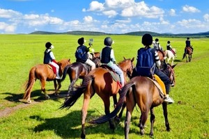 【2日•坝上草原】•神仙谷七彩森林-闪电湖の草原娱乐场-骑马-篝火晚会-烤全羊
